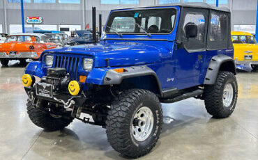 Jeep-Wrangler-SUV-1995-Blue-Black-177734-2