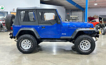 Jeep-Wrangler-SUV-1995-Blue-Black-177734-7