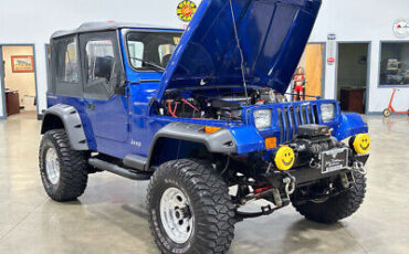 Jeep-Wrangler-SUV-1995-Blue-Black-177734-8