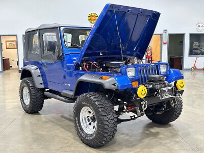 Jeep-Wrangler-SUV-1995-Blue-Black-177734-8