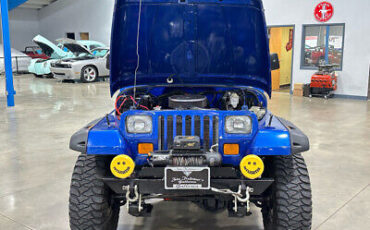 Jeep-Wrangler-SUV-1995-Blue-Black-177734-9