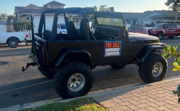 Jeep-Wrangler-islander-1992-4