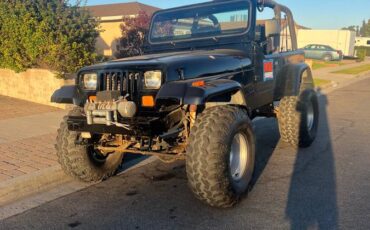 Jeep-Wrangler-islander-1992-6