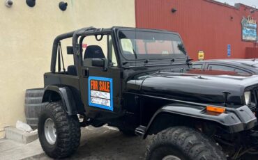 Jeep-Wrangler-islander-1992-7