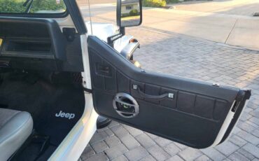 Jeep-Wrangler-s-1994-11