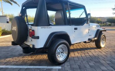 Jeep-Wrangler-s-1994-14