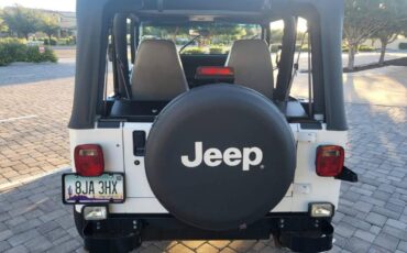 Jeep-Wrangler-s-1994-15