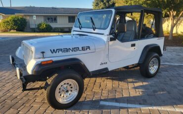 Jeep-Wrangler-s-1994-3