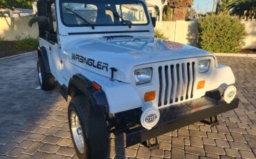 Jeep-Wrangler-s-1994