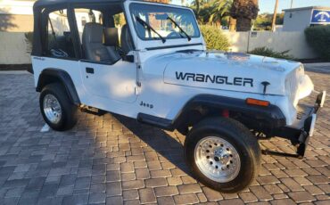 Jeep-Wrangler-s-1994-4