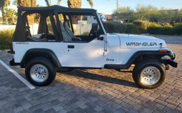 Jeep-Wrangler-s-1994-5