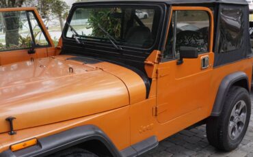 Jeep-Wrangler-yj-1990-orange-120250-5