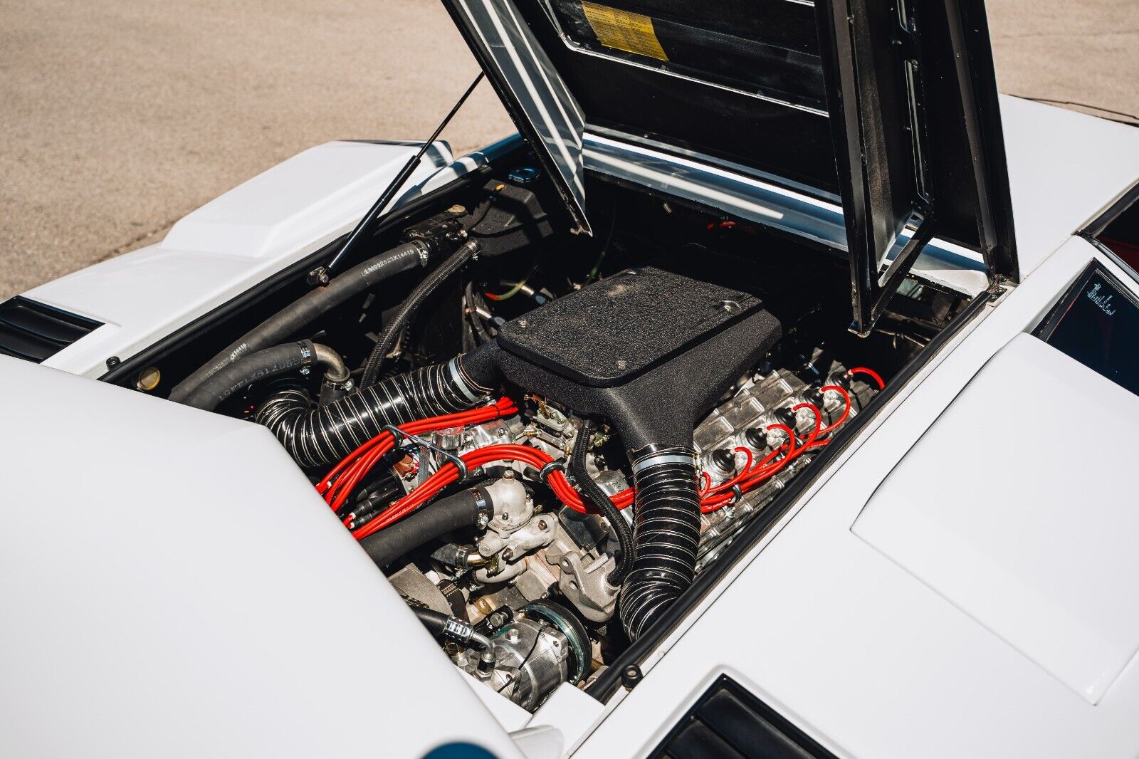 Lamborghini-Countach-Coupe-1984-White-Red-28913-18