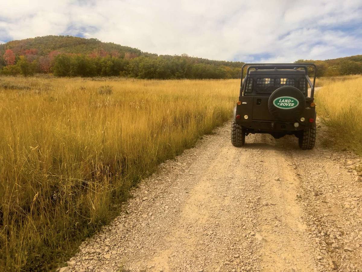 Land-rover-Defender-110-diesel-1993-5