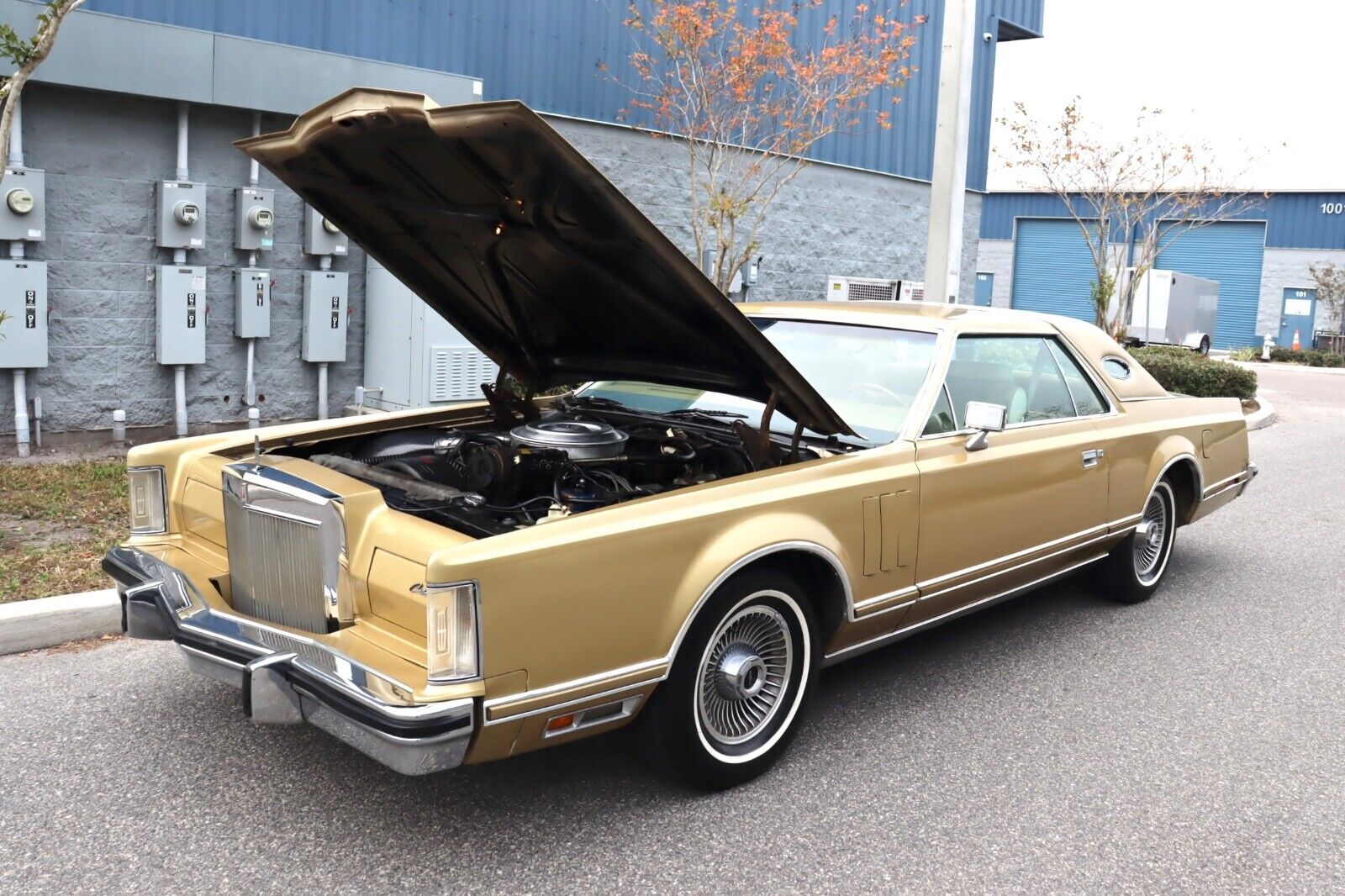 Lincoln-Continental-Coupe-1979-22