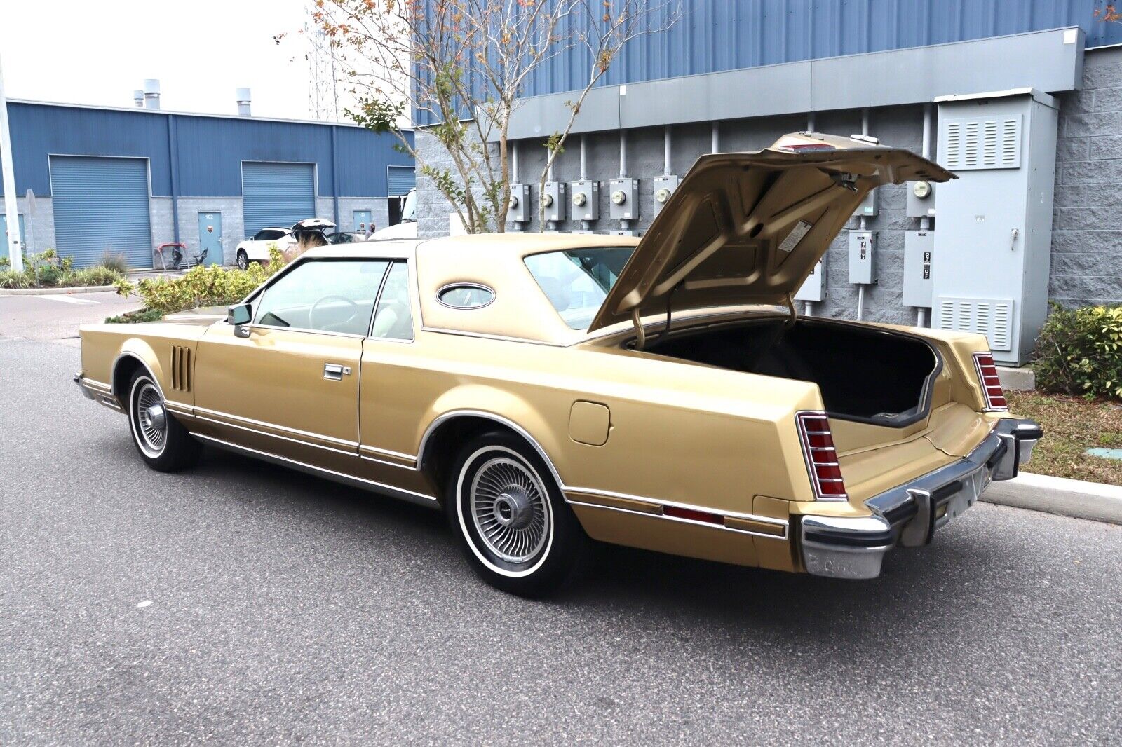 Lincoln-Continental-Coupe-1979-27