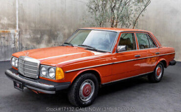 Mercedes-Benz-200-Series-1977-White-Other-Color-0-7