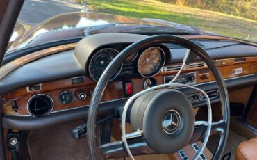 Mercedes-Benz-300-SEL-Berline-1971-Brown-Tan-226918-10