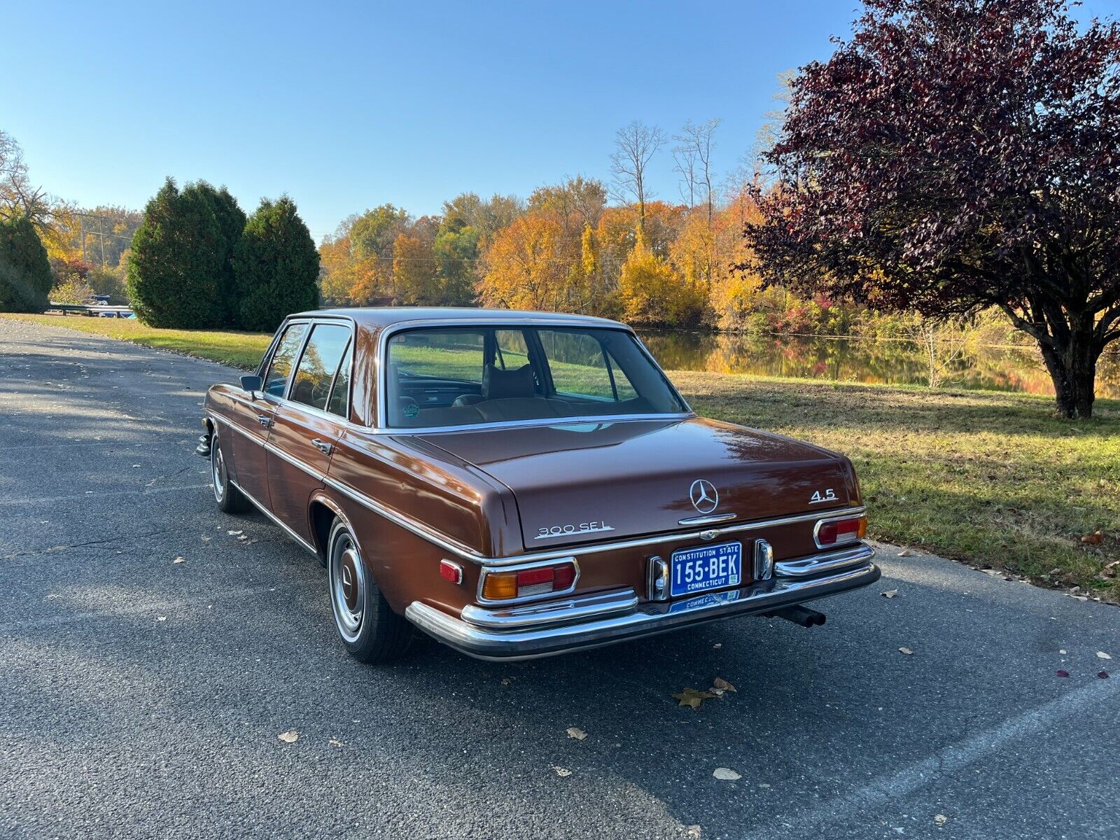 Mercedes-Benz-300-SEL-Berline-1971-Brown-Tan-226918-16