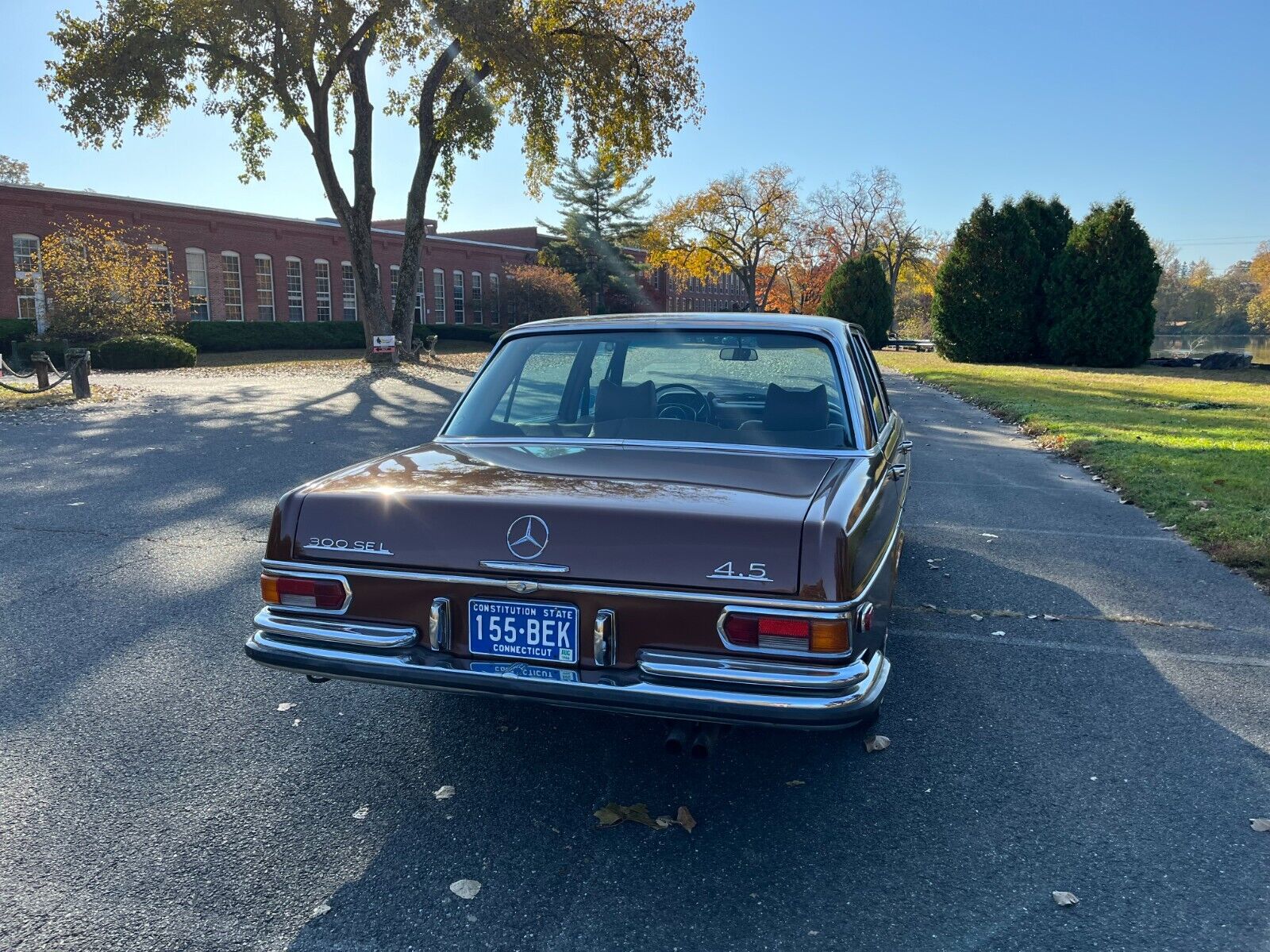 Mercedes-Benz-300-SEL-Berline-1971-Brown-Tan-226918-18