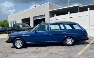 Mercedes-Benz-300-Series-Break-1983-Blue-Blue-303102-1