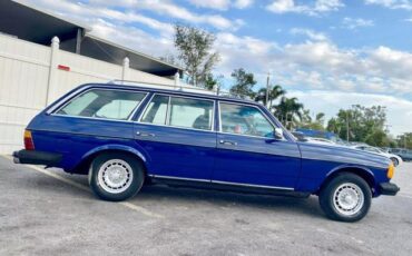 Mercedes-Benz-300-Series-Break-1985-Blue-Blue-0-9