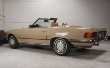 Mercedes-Benz-300-Series-Cabriolet-1972-Beige-Brown-171484-10