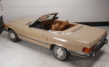 Mercedes-Benz-300-Series-Cabriolet-1972-Beige-Brown-171484-11