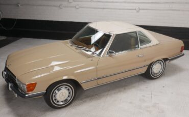 Mercedes-Benz-300-Series-Cabriolet-1972-Beige-Brown-171484-8