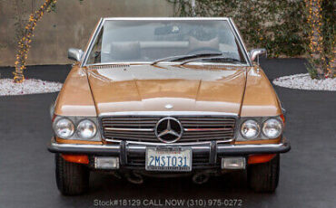 Mercedes-Benz-400-Series-1973-Brown-Other-Color-0-1