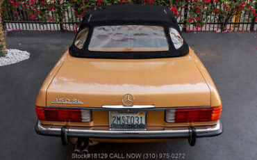 Mercedes-Benz-400-Series-1973-Brown-Other-Color-0-10