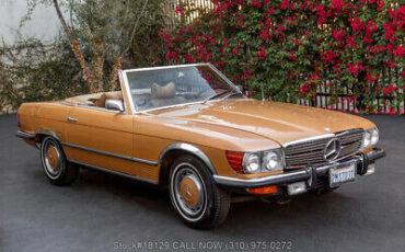 Mercedes-Benz-400-Series-1973-Brown-Other-Color-0-2