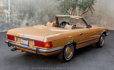 Mercedes-Benz-400-Series-1973-Brown-Other-Color-0-4