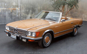 Mercedes-Benz-400-Series-1973-Brown-Other-Color-0-7