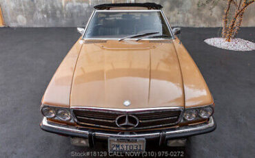 Mercedes-Benz-400-Series-1973-Brown-Other-Color-0-8