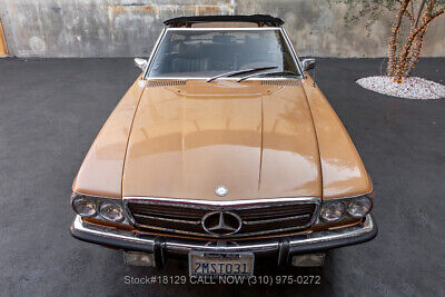 Mercedes-Benz-400-Series-1973-Brown-Other-Color-0-8