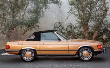 Mercedes-Benz-400-Series-1973-Brown-Other-Color-0-9