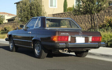 Mercedes-Benz-400-Series-Cabriolet-1980-Brown-Tan-158520-5