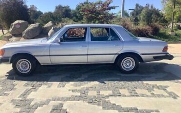 Mercedes-Benz-450se-Berline-1976-Silver-Blue-262647-5