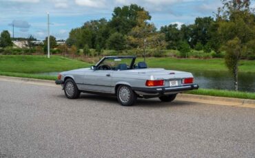 Mercedes-Benz-500-Series-1989-Silver-Blue-201578-3