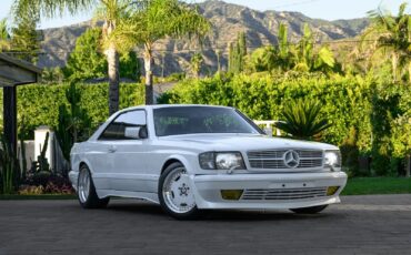 Mercedes-Benz-560sec-1988-White-Blue-103513-4