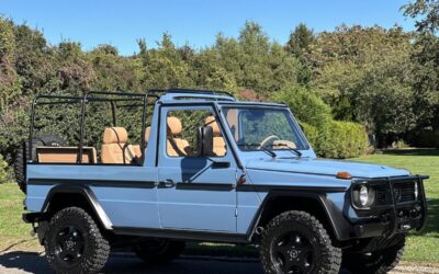 Mercedes-Benz G-Class Cabriolet 1990 à vendre