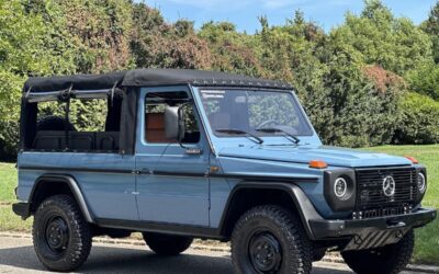 Mercedes-Benz G-Class Cabriolet 1993 à vendre