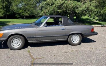 Mercedes-Benz-SL-Class-1974-Gray-Black-152435-2