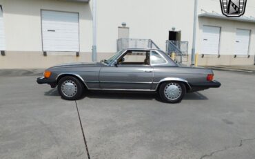 Mercedes-Benz-SL-Class-1981-Silver-Tan-249143-5