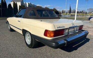 Mercedes-Benz-SL-Class-Cabriolet-1976-15