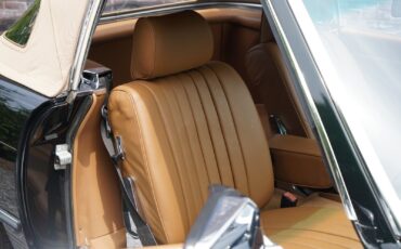 Mercedes-Benz-SL-Class-Cabriolet-1985-Green-Tan-182490-20