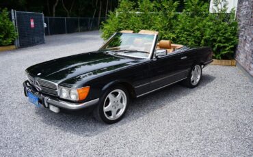 Mercedes-Benz-SL-Class-Cabriolet-1985-Green-Tan-182490-26