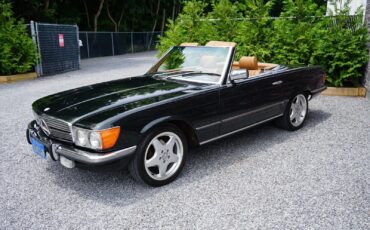 Mercedes-Benz-SL-Class-Cabriolet-1985-Green-Tan-182490-28