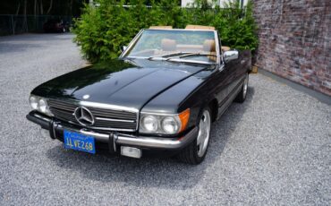 Mercedes-Benz-SL-Class-Cabriolet-1985-Green-Tan-182490-31